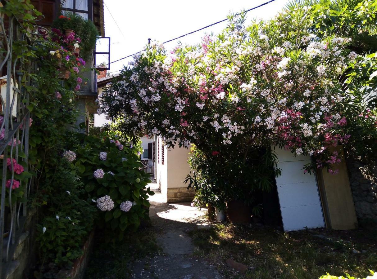 Apartments Placovici 沃洛斯科 外观 照片
